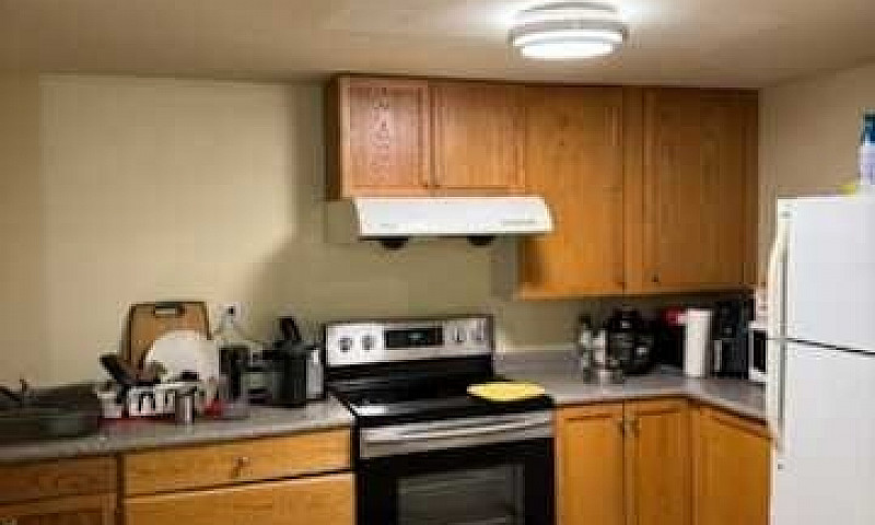 1 Bed 1 Bath Basemen...