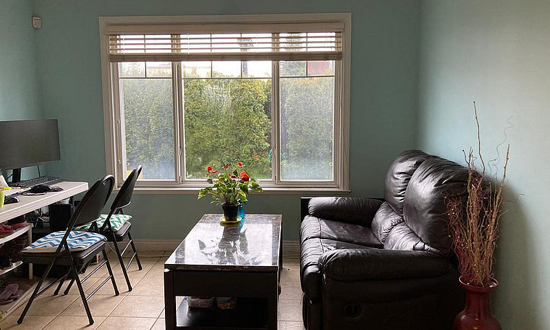 1 Bedroom 1 Bath Bas...