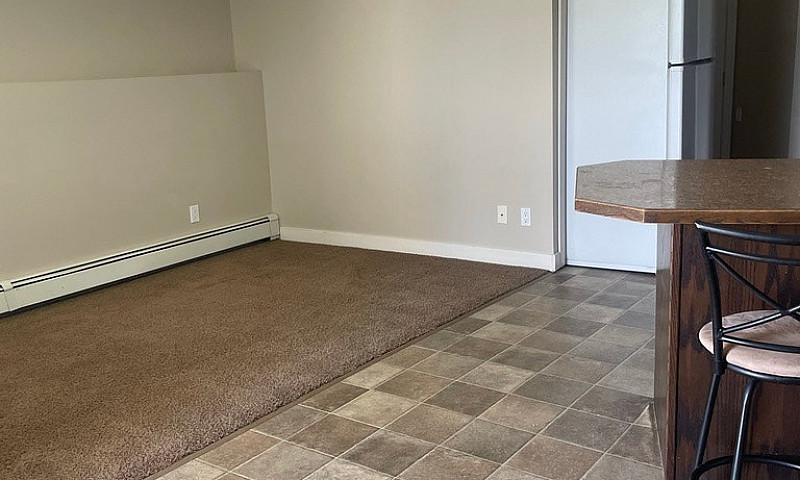2 Bedroom Walkout Ba...
