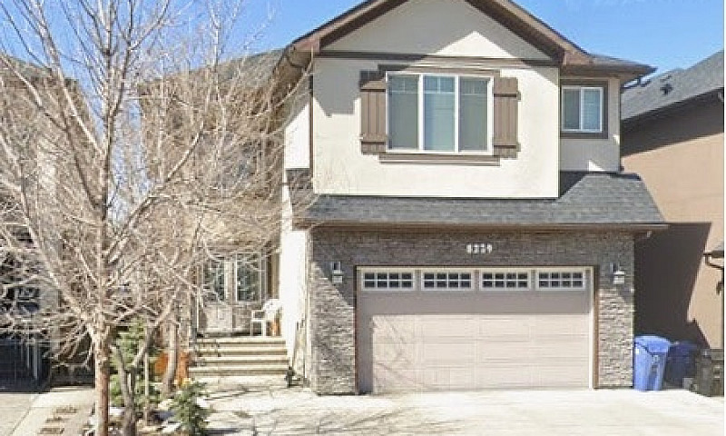 2Bdrm Basement 1200S...