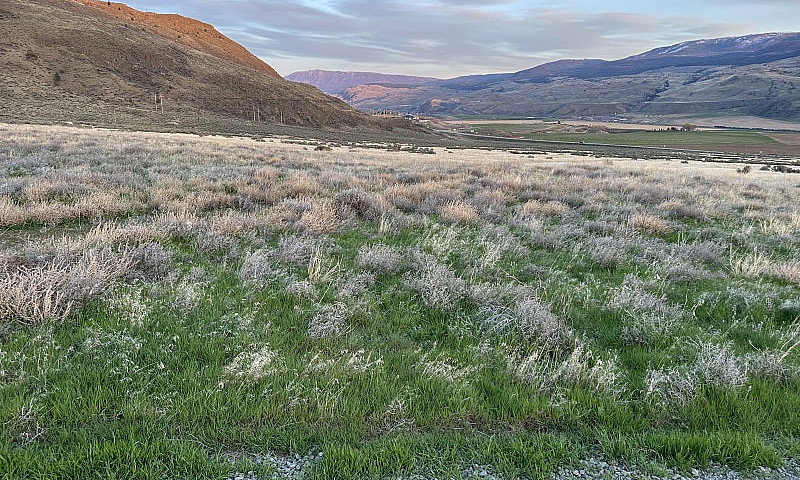7 View Acreages For ...