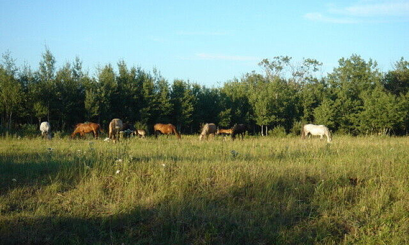 Land 75 Acres Near S...