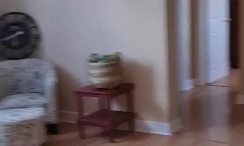 2 Bedroom 1 Bath Apa...