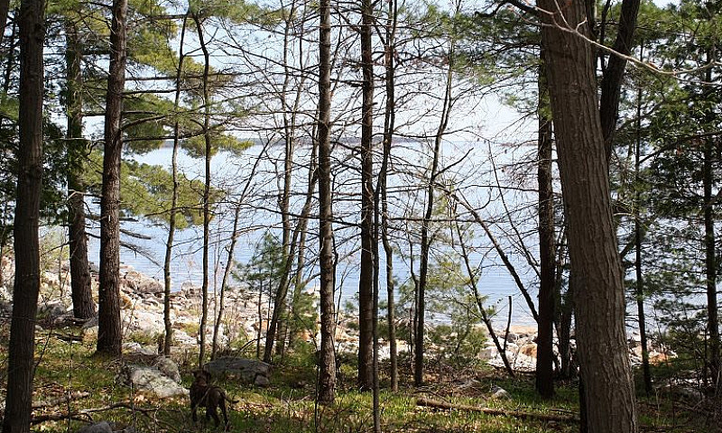 Waterfront Acreage G...