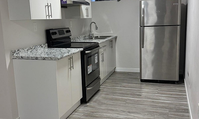 One Bedroom Basement...