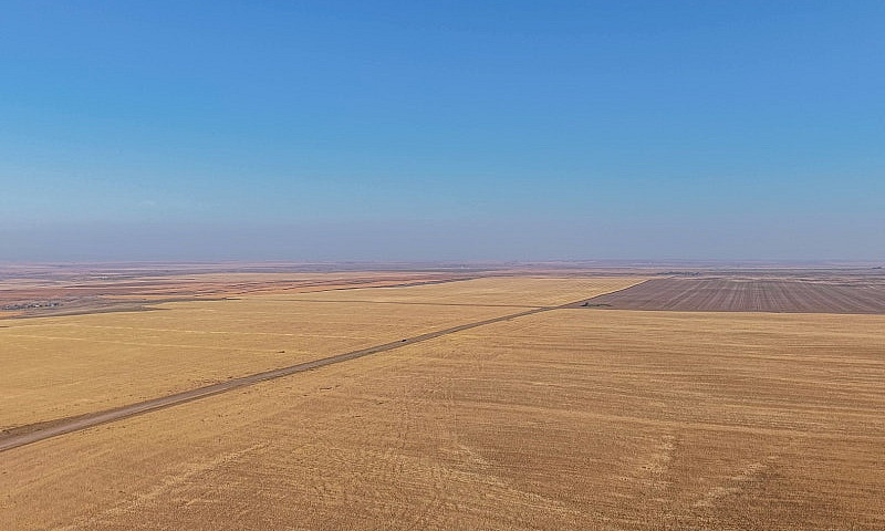 17Q Of Grain Land Al...