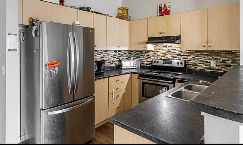 Rent Apartment...