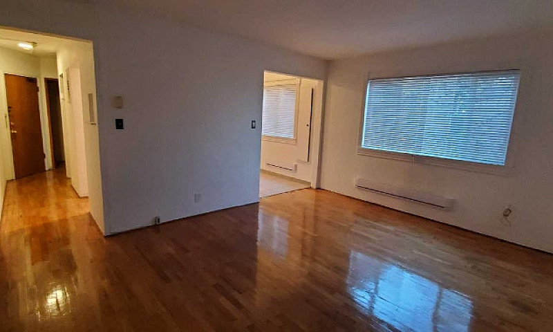 One Bedroom  Apartme...