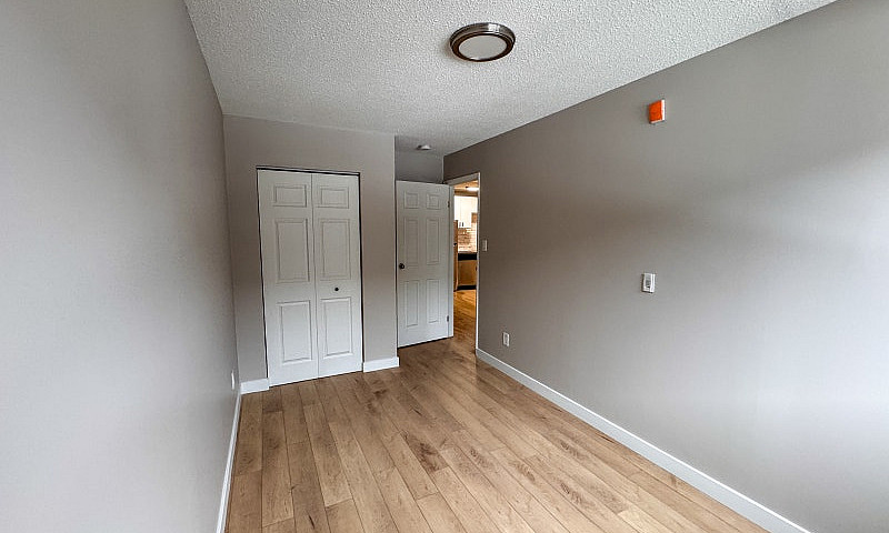 Newly Renovated Bach...