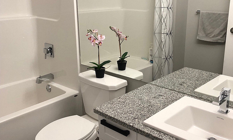 2 Bed  2 Bath  50+  ...