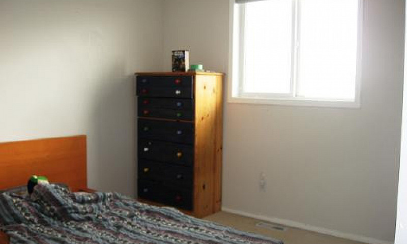 One Bed Room Suit...