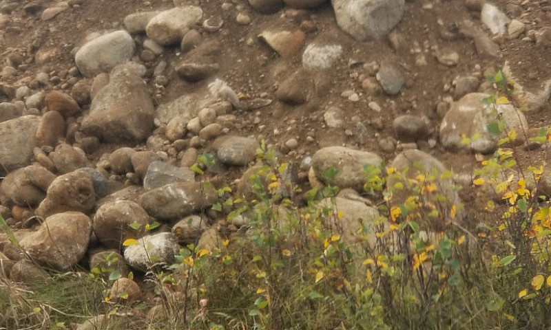 Gravel - Land For Sa...