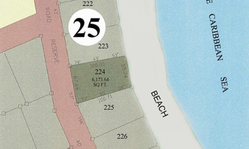 Own An Ocean Front L...