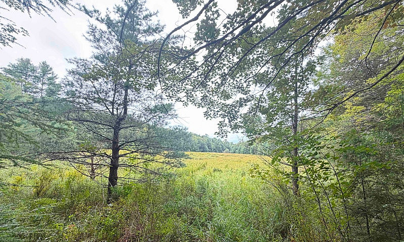 212 Acres Muskoka La...