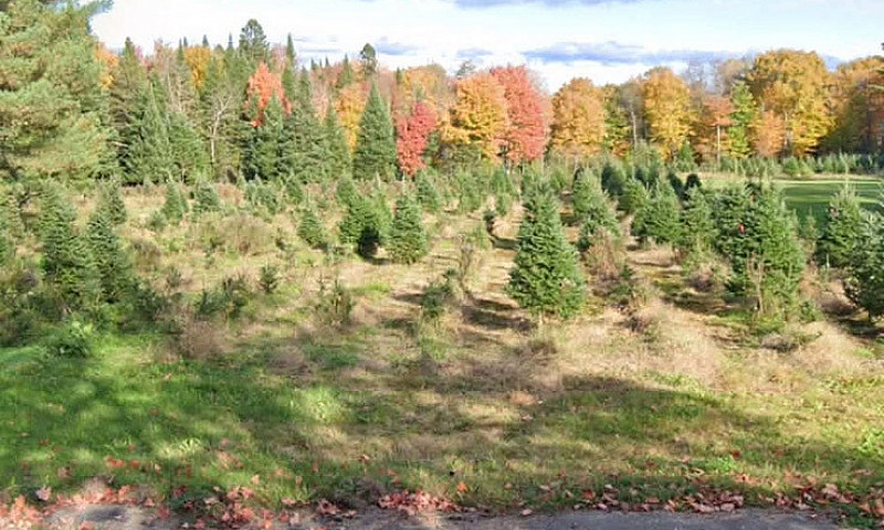 Land For Sale / Terr...