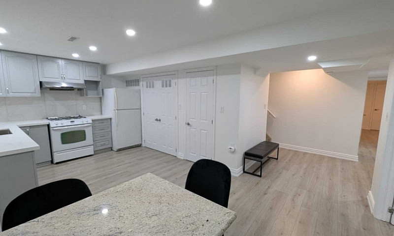 Newly Renovated 1 Be...