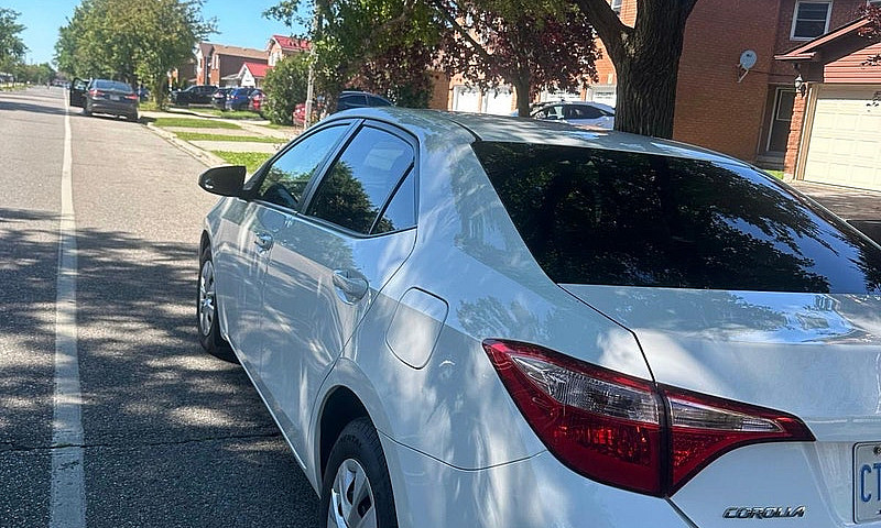 Toyota Corolla...