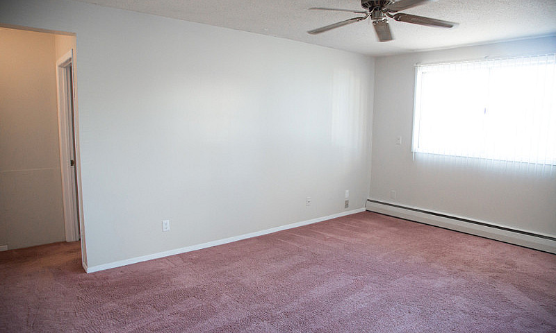 One Bedroom Apartmen...