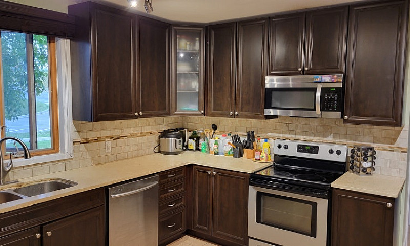 Fully Updated, Huge,...