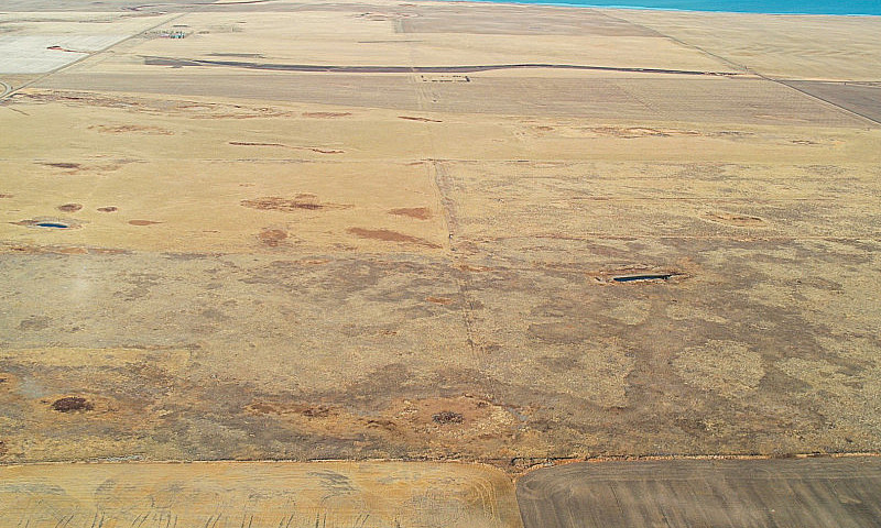 Section Of Pasture I...