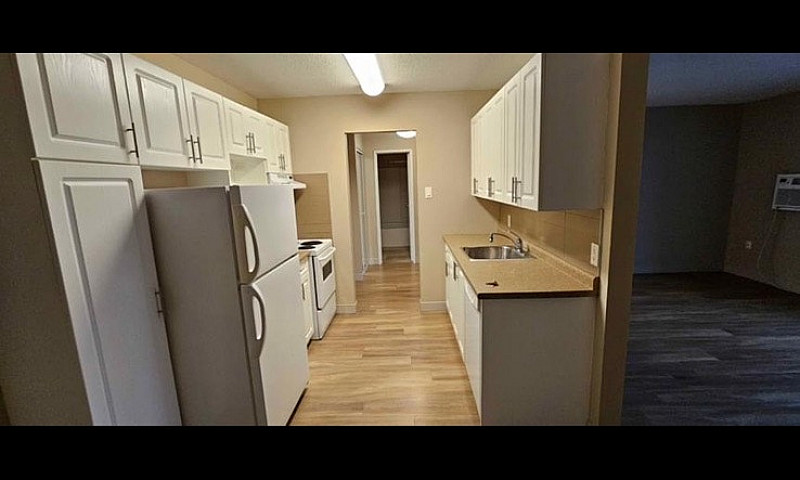 One Bed One Bath Apa...