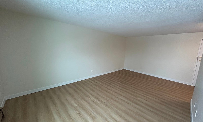 Newly Renovated 1 Be...