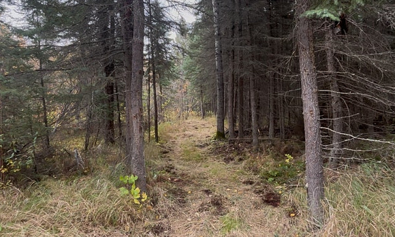  For Sale By Owner: ...