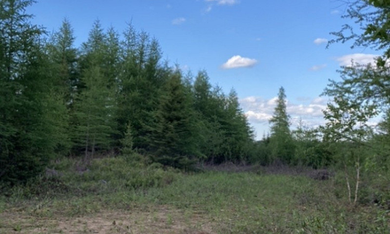 1.11 Acre Sandy Stre...