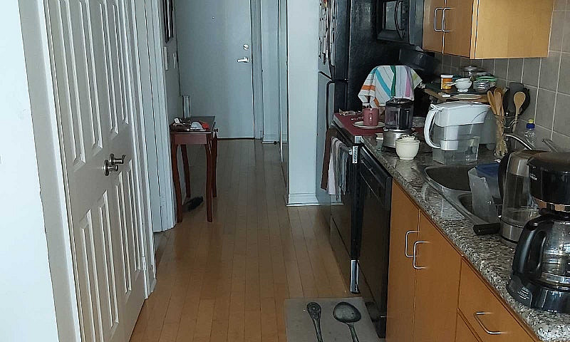 Bachelor + Den Condo...