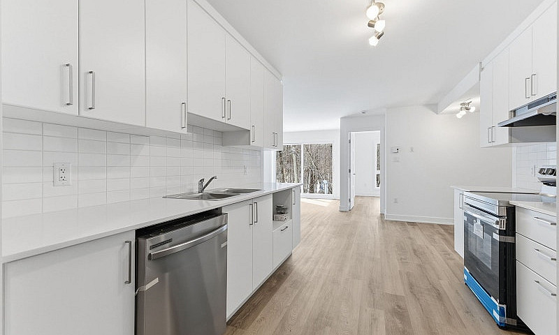 Logement Neuf À Loue...