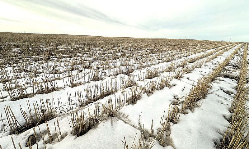 1,229 Acres For Sale...