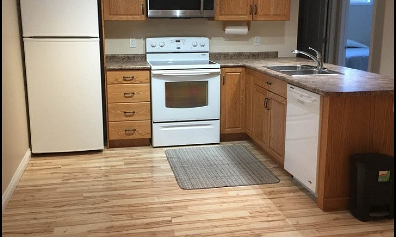 2 Bed 1 Bath Basemen...