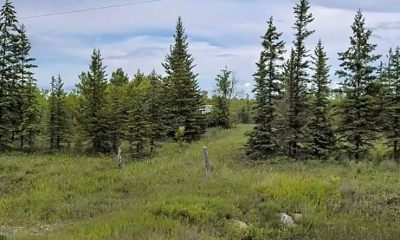Teulon Manitoba...