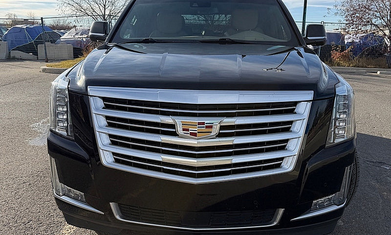 2019 Cadillac Escala...
