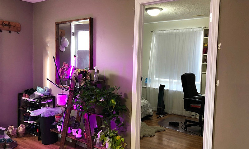 Walkout Legal 2 Br B...