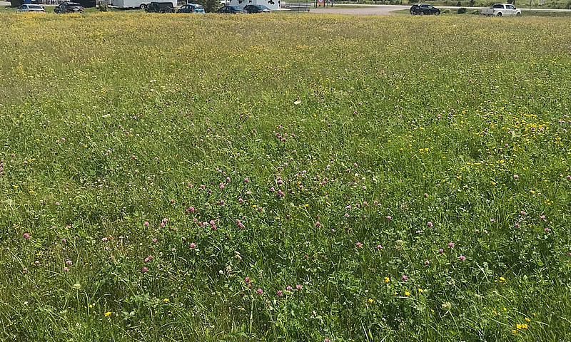 Land For Sale ...
