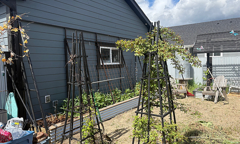 House For Sale In Ba...