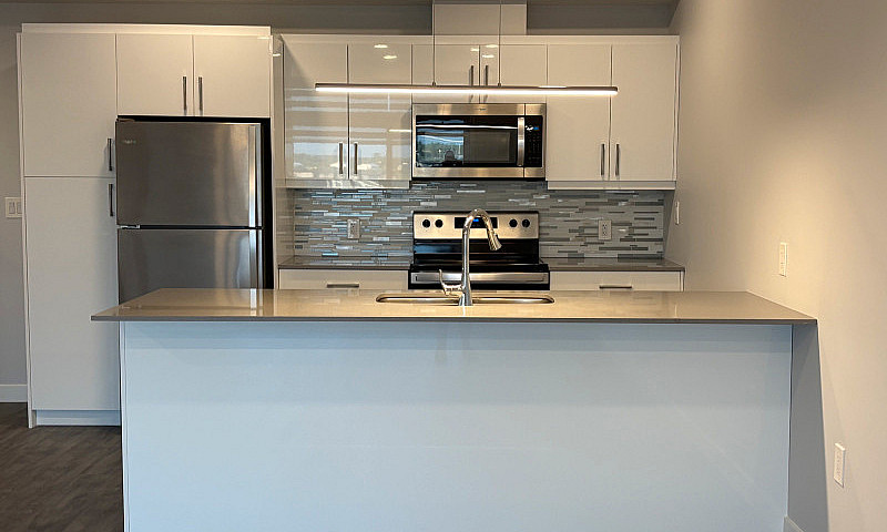 Luxury 1Bd 1Bth Apar...