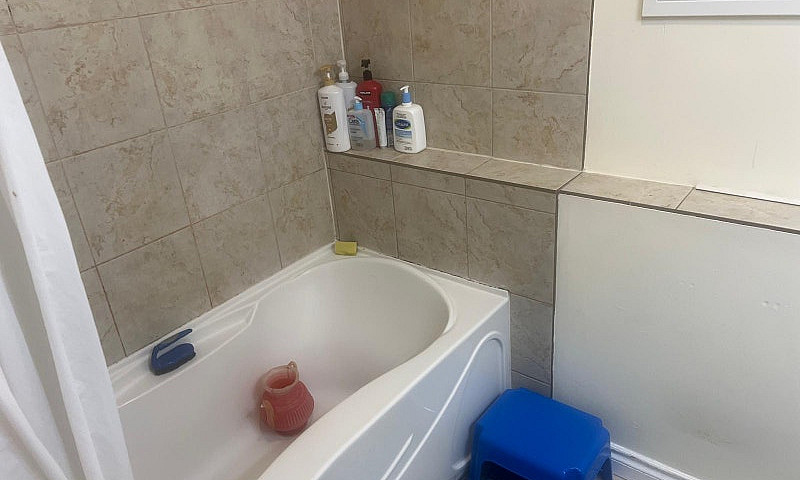 2 Beds 1 Bath - Base...