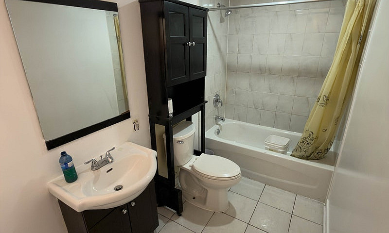 Basement Apartment F...