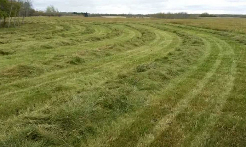 400 Acres Of Land Fo...