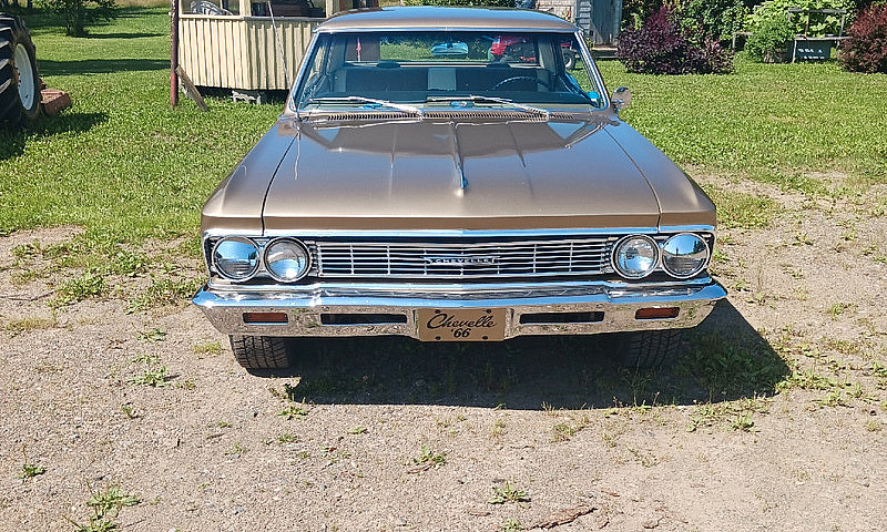 Cheville Malibu...