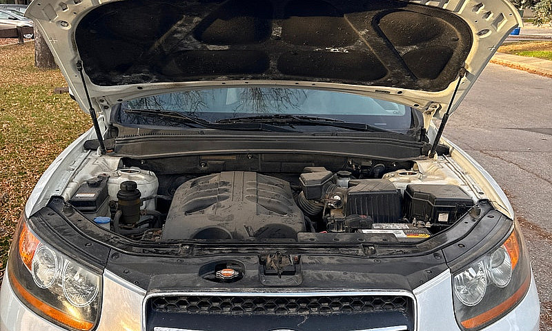 2009 Hyundai Santa F...