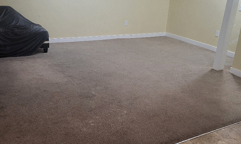 Basement For Rent...