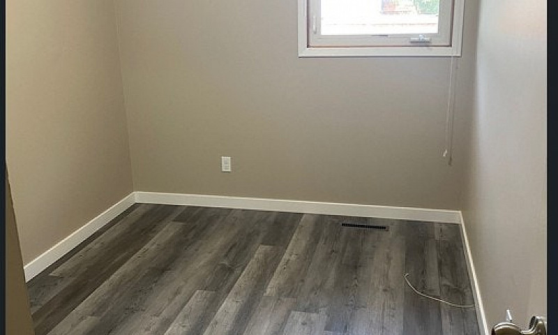 Rarely Available – 3...