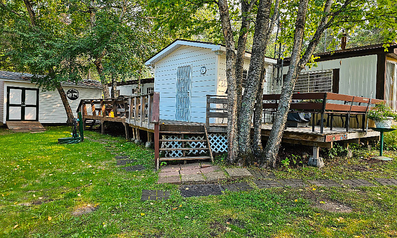 Loon Lakeready For S...