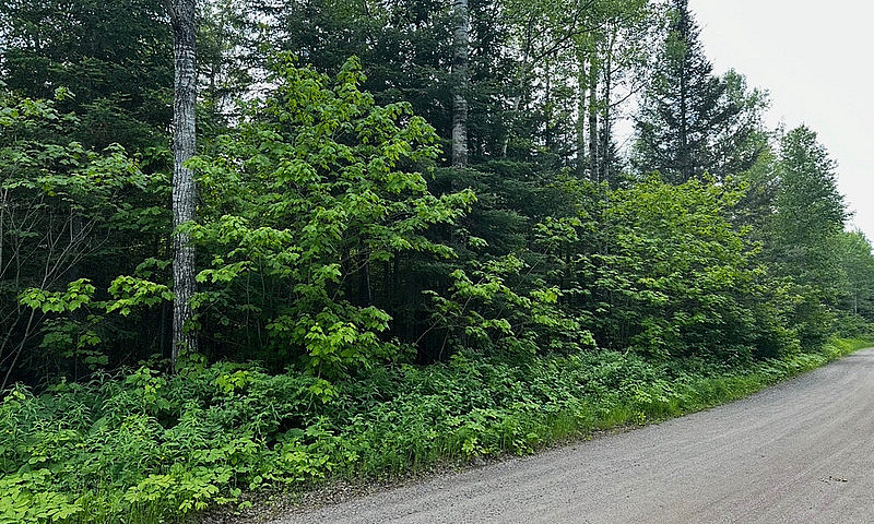 12 Acre Building Lot...