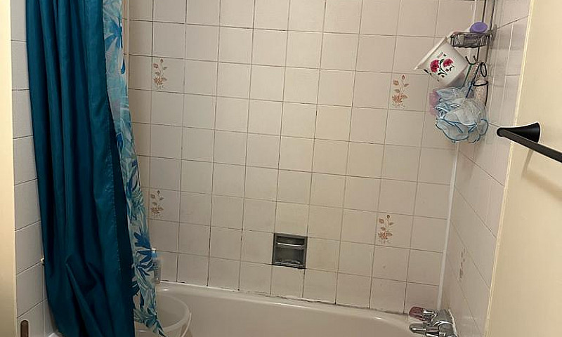 2 Bedroom House Avai...