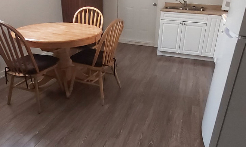 One Bedroom Basement...