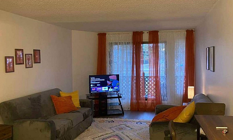 Move-In Ready 1-Bed ...